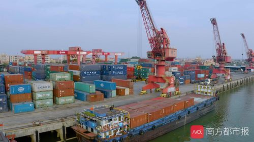 国内贸易代理 连接供需的桥梁与商业增长的引擎